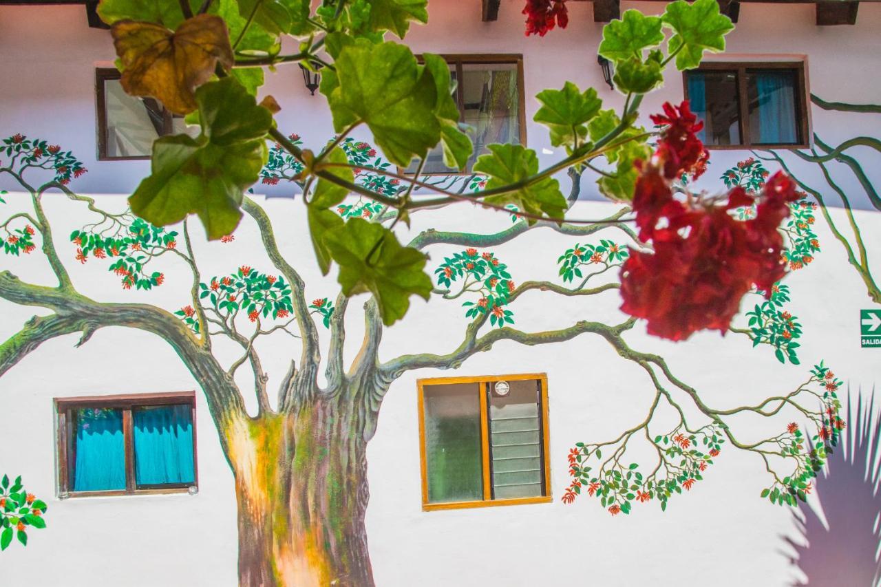 Albergue Tucan *