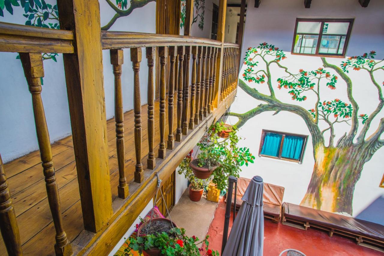 Tucan Albergue *